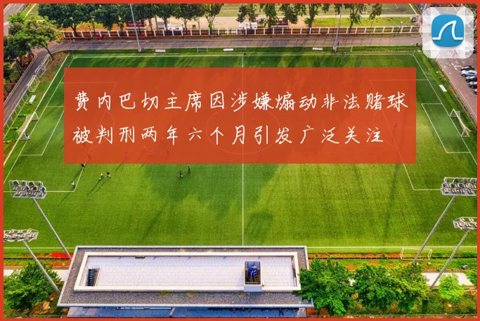 费内巴切主席因涉嫌煽动非法赌球被判刑两年六个月引发广泛关注
