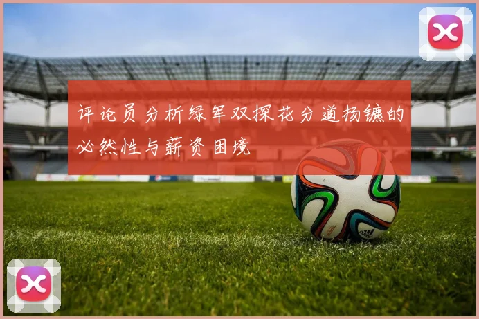 评论员分析绿军双探花分道扬镳的必然性与薪资困境